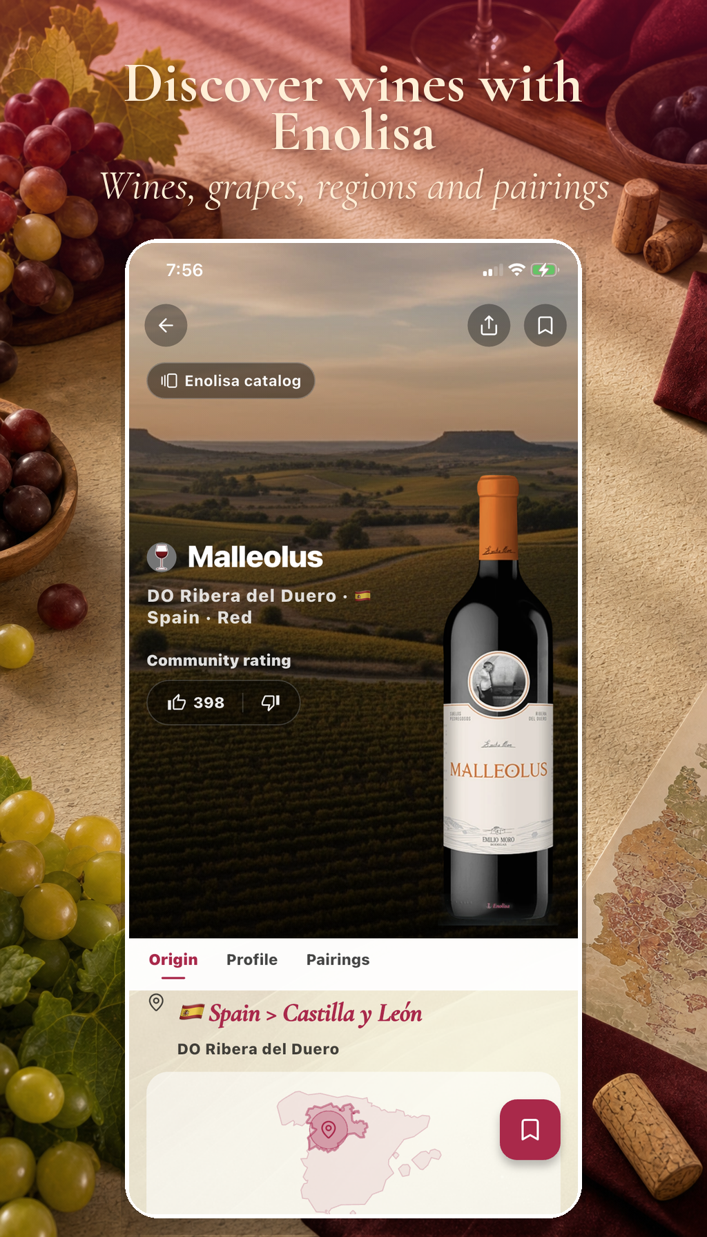 Discover wines with Enolisa. Wines, grapes, regions and pairings Discover wines with Enolisa. Wines, grapes, regions and pairings