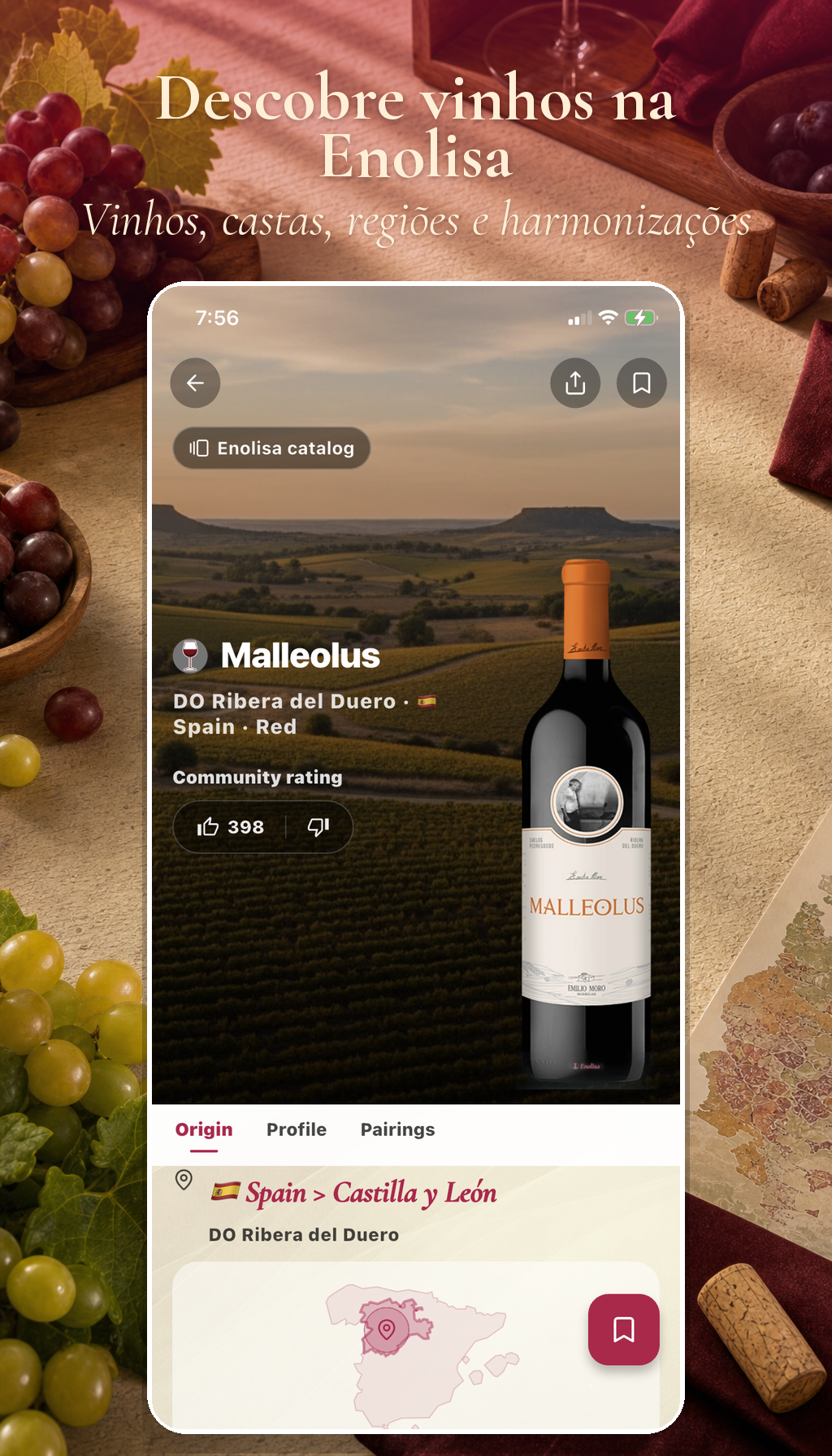 Descobre vinhos na Enolisa. Vinhos, castas, regiões e harmonizações
